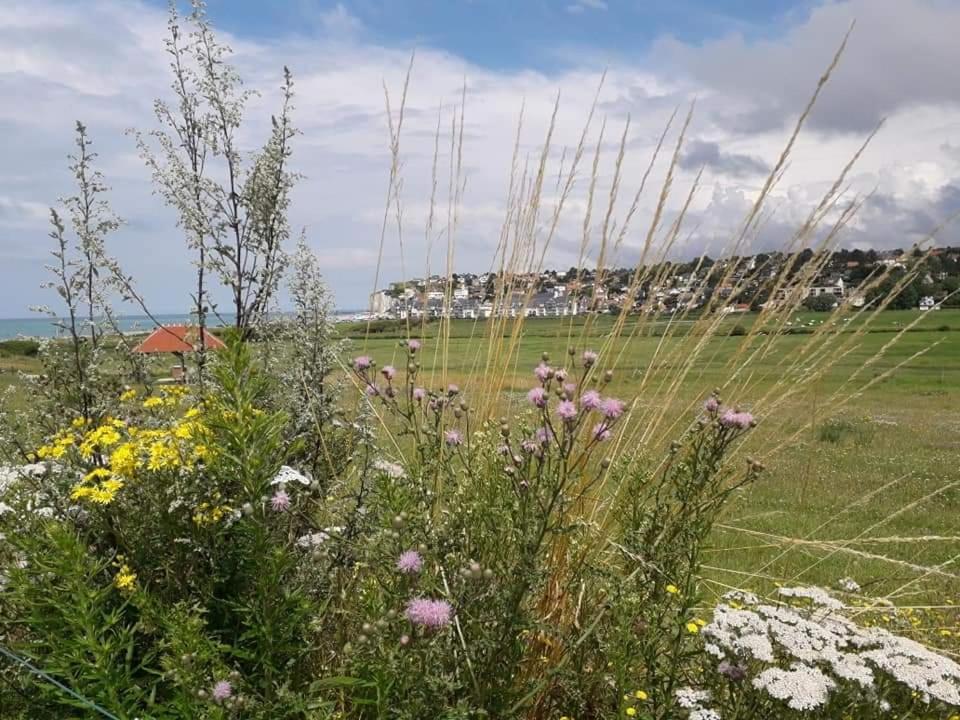 Maison Entiere La Longe'Yeres Saint-Martin-le-Gaillard المظهر الخارجي الصورة